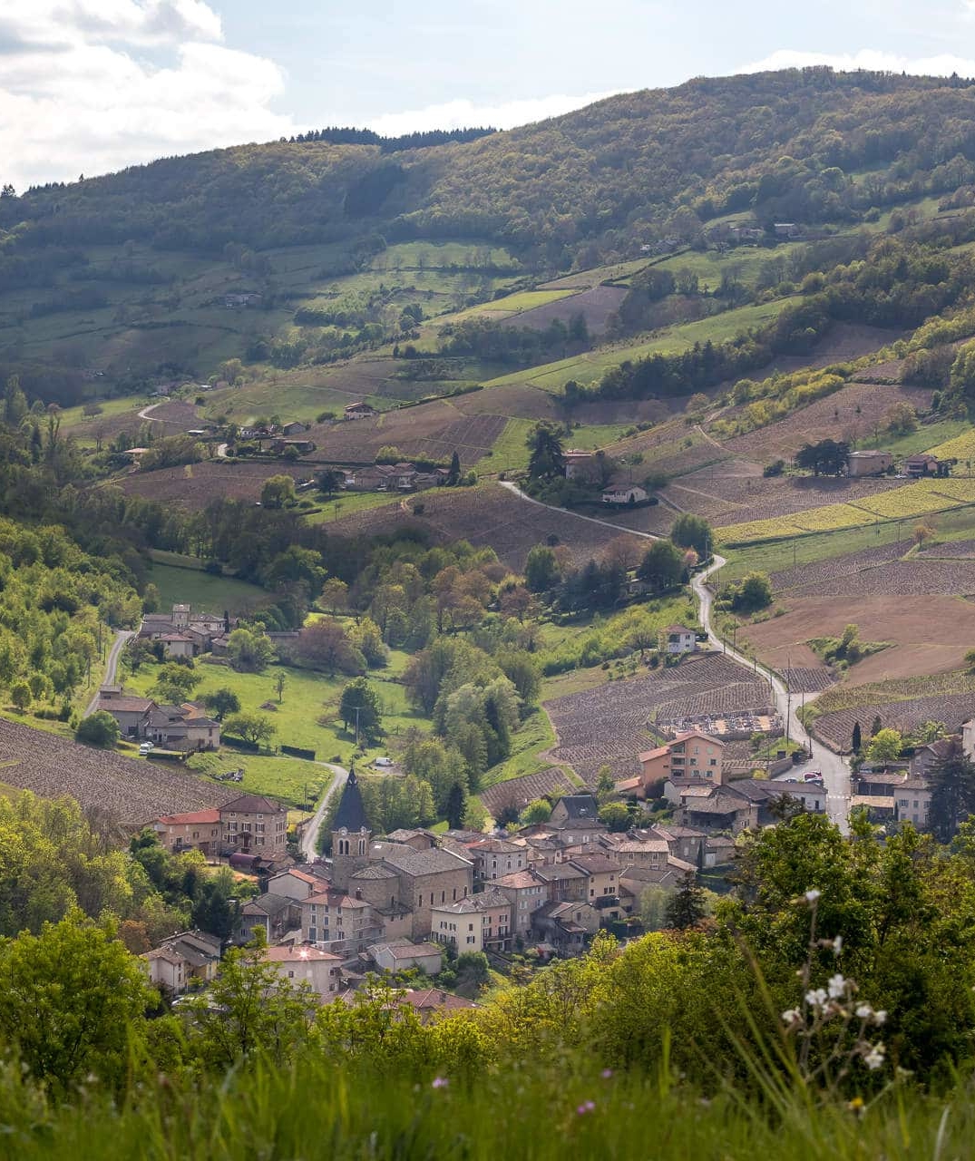 La Route Des Vins Du Beaujolais Site Officiel Des Vins Du Beaujolais