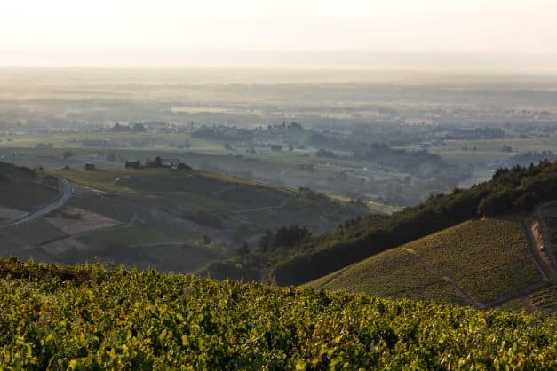View on the Beaujolais crus. © Etienne Ramousse