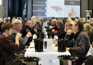 Concours des Grands Vins du Beaujolais : plus de 600 échantillons à départager