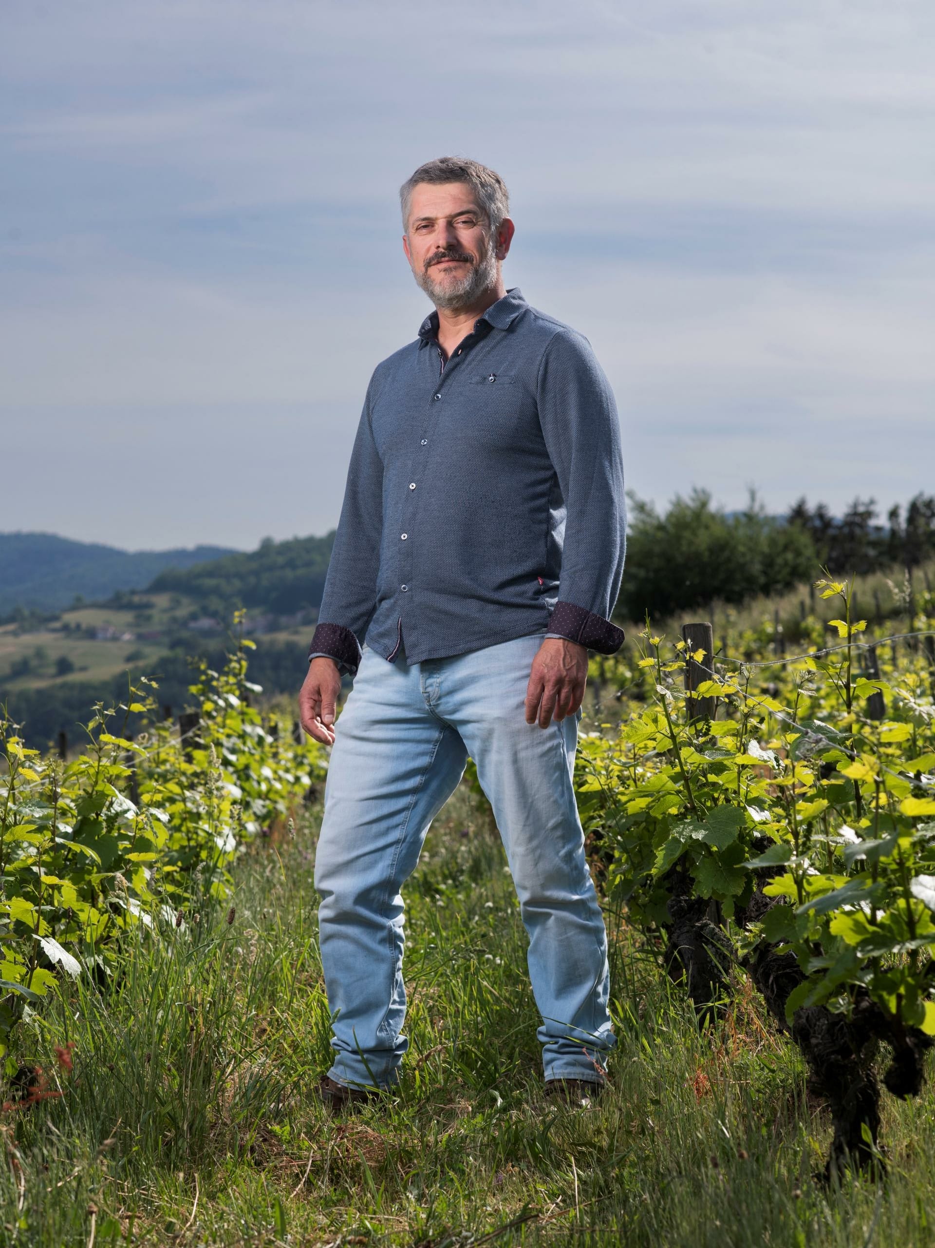 Sylvain Flache, Président de la cave coopérative Vignerons des Pierres Dorées